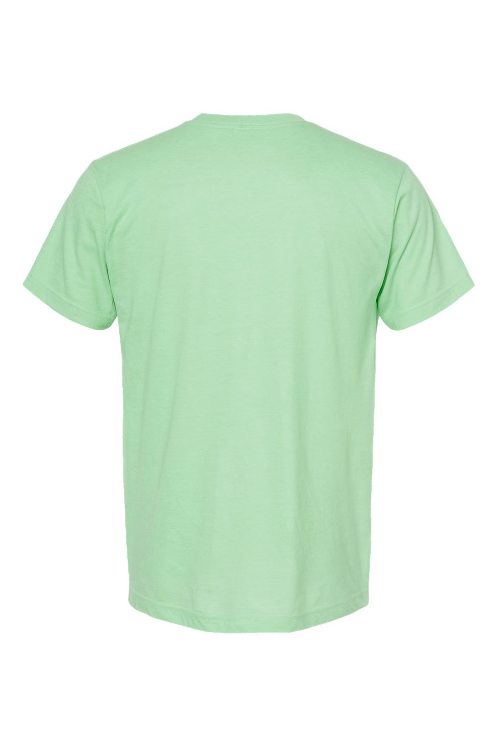 Tultex 202 Mens Fine Jersey Short Sleeve Crewneck T-Shirt Heather Neo Mint Green Flat Back