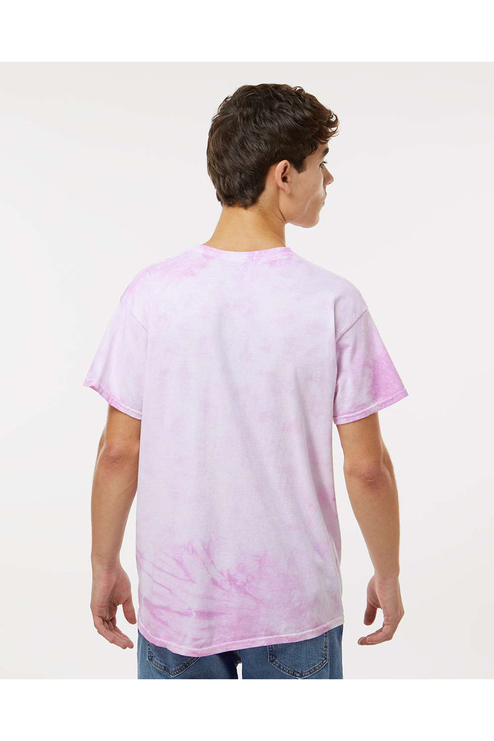 Dyenomite 200CR Mens Crystal Tie Dyed Short Sleeve Crewneck T-Shirt Lilac Model Back