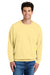 Comfort Colors 1466 Mens Garment Dyed Fleece Crewneck Sweatshirt Butter Yellow Model Front