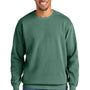 Comfort Colors Mens Crewneck Sweatshirt - Light Green