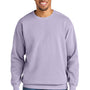 Comfort Colors Mens Crewneck Sweatshirt - Orchid Purple