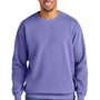 Comfort Colors Mens Crewneck Sweatshirt - Violet Purple