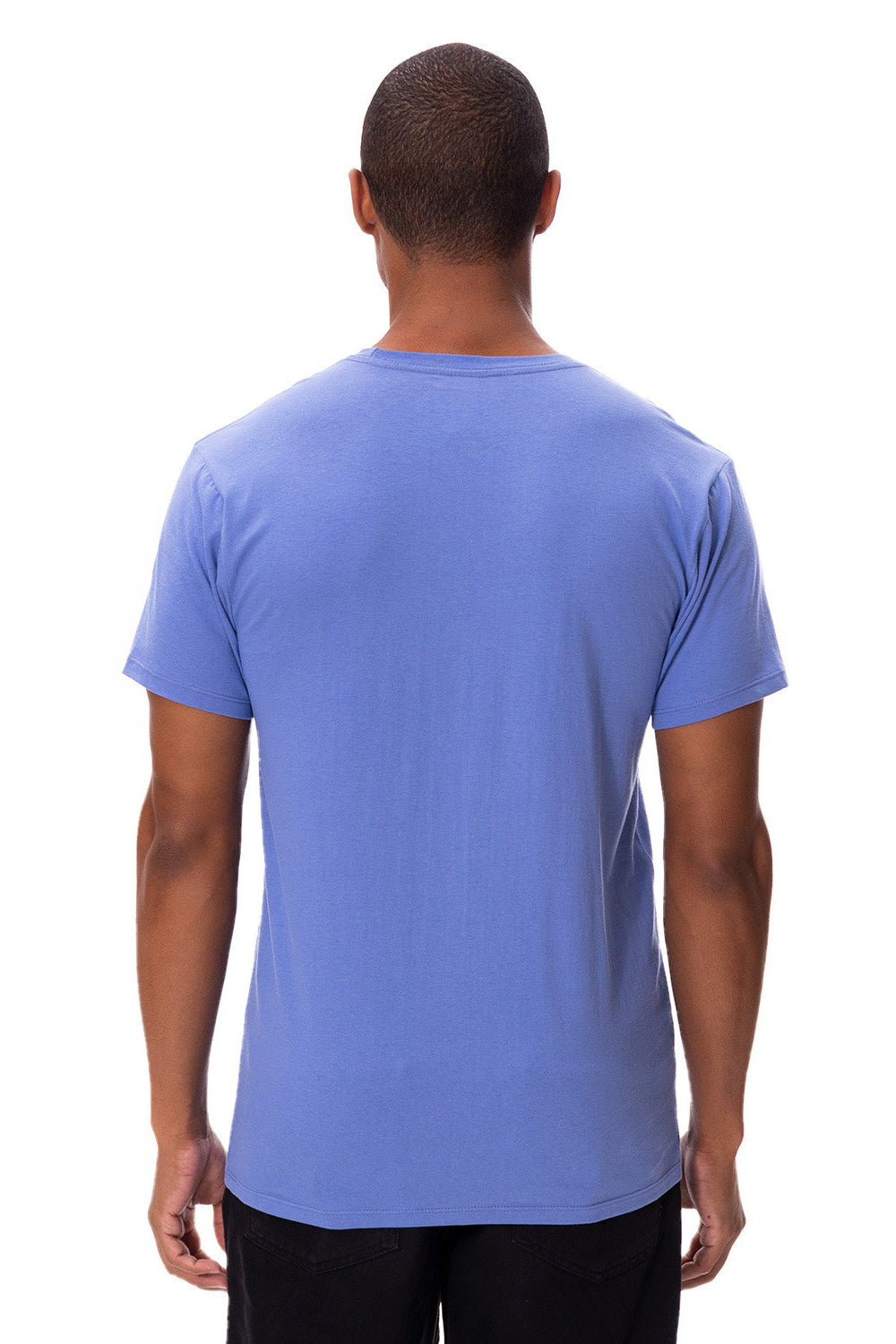 Threadfast Apparel 180A Mens Ultimate Short Sleeve Crewneck T-Shirt Denim Blue Model Back