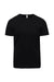 Threadfast Apparel 180NFC Mens Ultimate NFC Short Sleeve Crewneck T-Shirt Black Flat Front