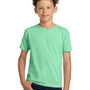 Gildan Youth Ultra Short Sleeve Crewneck T-Shirt - Mint Green