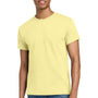 Gildan Mens Ultra Short Sleeve Crewneck T-Shirt - Cornsilk Yellow