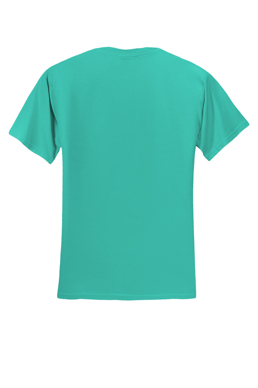 Jerzees 29M/29MR/29MT Mens Dri-Power Moisture Wicking Short Sleeve Crewneck T-Shirt Cool Mint Green Flat Back