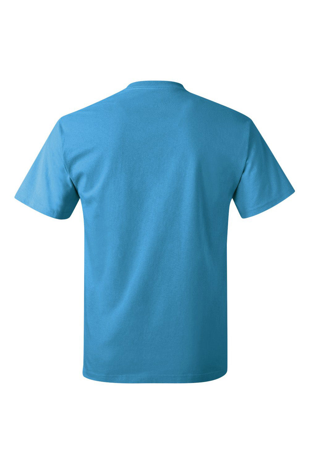 Hanes 5250/5250T Mens ComfortSoft Short Sleeve Crewneck T-Shirt Sapphire Blue Flat Back