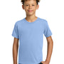 Gildan Youth Short Sleeve Crewneck T-Shirt - Light Blue