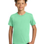 Gildan Youth Short Sleeve Crewneck T-Shirt - Mint Green