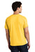 Gildan 5000/G500 Mens Short Sleeve Crewneck T-Shirt Daisy Yellow Model Back