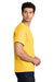 Gildan 5000/G500 Mens Short Sleeve Crewneck T-Shirt Daisy Yellow Model Side