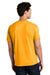 Gildan 5000/G500 Mens Short Sleeve Crewneck T-Shirt Gold Model Back