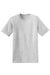 Hanes 5170 Mens EcoSmart Short Sleeve Crewneck T-Shirt Ash Grey Flat Front