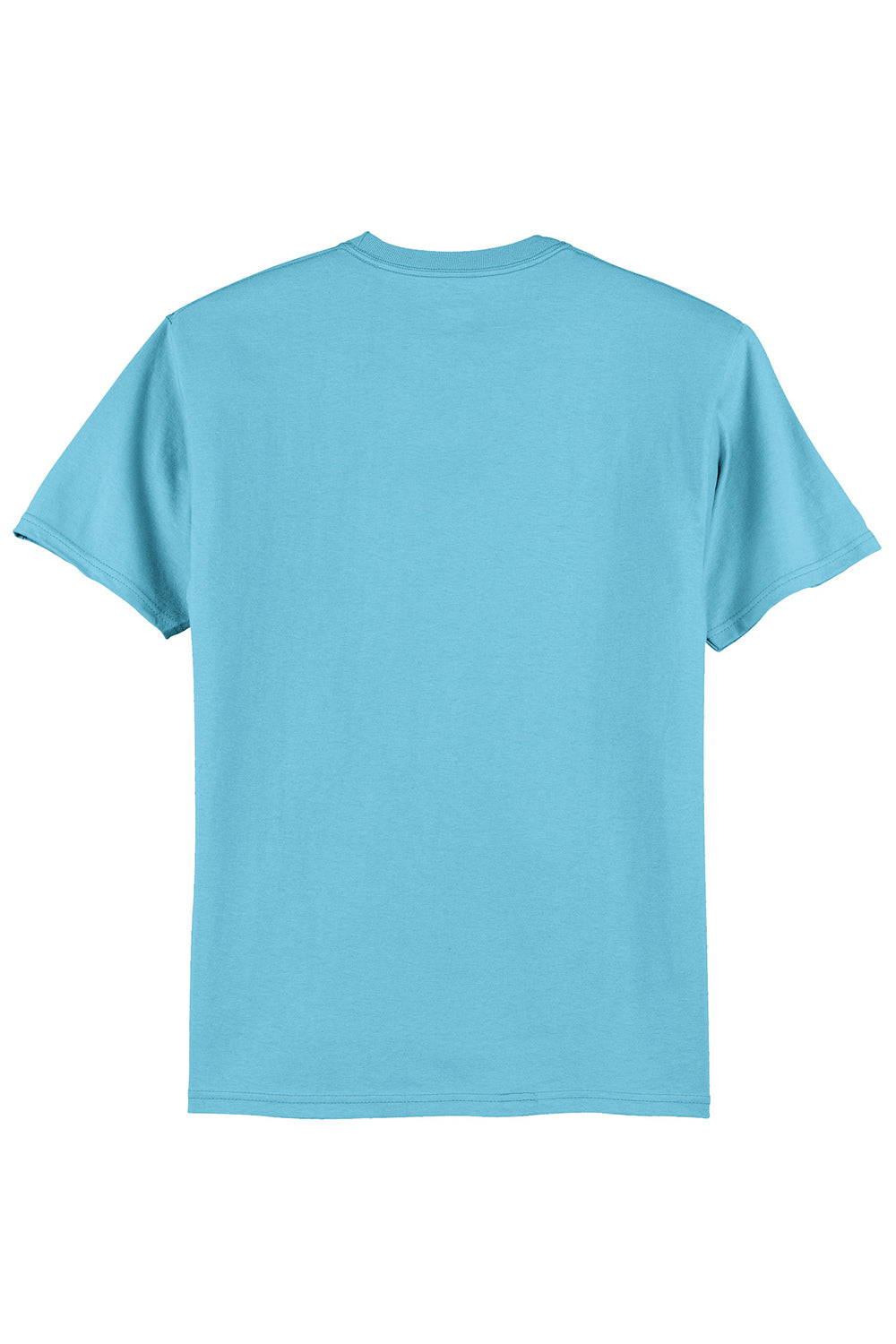 Hanes 5250/5250T Mens ComfortSoft Short Sleeve Crewneck T-Shirt Aquatic Blue Flat Back