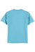 Hanes 5250/5250T Mens ComfortSoft Short Sleeve Crewneck T-Shirt Aquatic Blue Flat Back