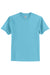 Hanes 5250/5250T Mens ComfortSoft Short Sleeve Crewneck T-Shirt Aquatic Blue Flat Front