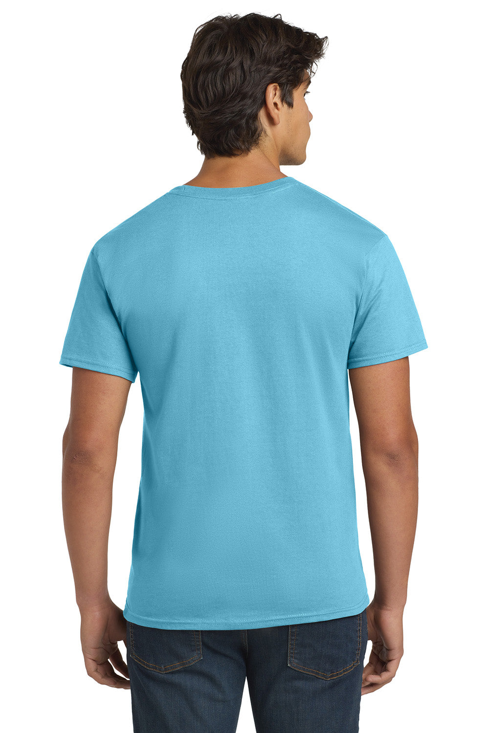 Hanes 5250/5250T Mens ComfortSoft Short Sleeve Crewneck T-Shirt Aquatic Blue Model Back