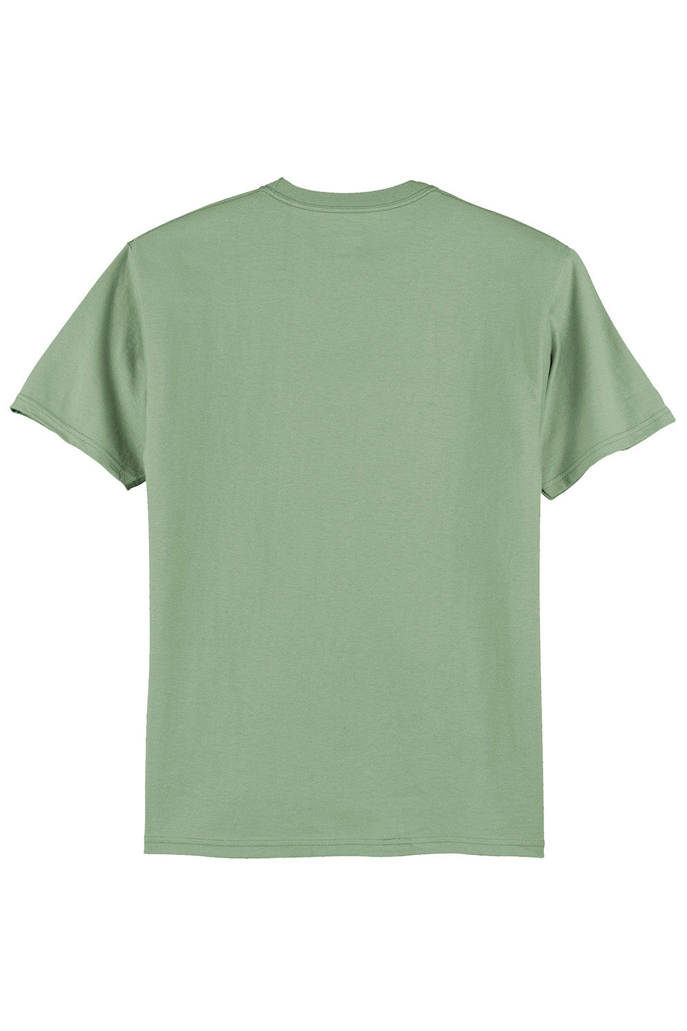 Hanes 5250/5250T Mens ComfortSoft Short Sleeve Crewneck T-Shirt Stonewashed Green Flat Back