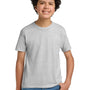 Hanes Youth EcoSmart Short Sleeve Crewneck T-Shirt - Ash Grey