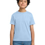 Hanes Youth EcoSmart Short Sleeve Crewneck T-Shirt - Light Blue