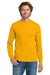 Gildan 5400/G540 Mens Long Sleeve Crewneck T-Shirt Gold Model Front