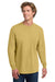 Comfort Colors 6014/C6014 Mens Long Sleeve Crewneck T-Shirt Mustard Yellow Model Front