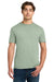 Gildan 64000/G640 Mens Softstyle Short Sleeve Crewneck T-Shirt Sage Green Model Front