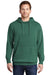 Port & Company PC098H Mens Beach Wash Fleece Hooded Sweatshirt Hoodie Nordic Green Model Front