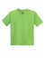 Gildan 8000B/G800B Youth DryBlend Moisture Wicking Short Sleeve Crewneck T-Shirt Lime Green Flat Front