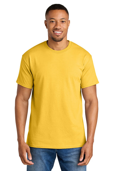 Gildan 8000/G800 Mens DryBlend Moisture Wicking Short Sleeve Crewneck T-Shirt Daisy Yellow Model Front