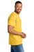 Gildan 8000/G800 Mens DryBlend Moisture Wicking Short Sleeve Crewneck T-Shirt Daisy Yellow Model Side