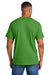 Gildan 8000/G800 Mens DryBlend Moisture Wicking Short Sleeve Crewneck T-Shirt Electric Green Model Back