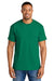 Gildan 8000/G800 Mens DryBlend Moisture Wicking Short Sleeve Crewneck T-Shirt Kelly Green Model Front