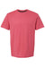 Kastlfel 2010 Mens RecycledSoft Short Sleve Crewneck T-Shirt Red Flat Front