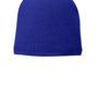 Port & Company Mens Fleece Lined Beanie - Athletic Royal Blue