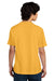 District DT104 Mens Perfect Weight Short Sleeve Crewneck T-Shirt Warm Gold Model Back