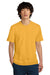 District DT104 Mens Perfect Weight Short Sleeve Crewneck T-Shirt Warm Gold Model Front