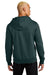 District DT1101 Mens Perfect Weight Fleece Hooded Sweatshirt Hoodie Rainforest Green Model Back