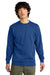 District DT6104 Mens Very Important Fleece Crewneck Sweatshirt Deep Royal Blue Model Front