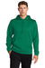 Sport-Tek F244 Mens Sport-Wick Moisture Wicking Fleece Hooded Sweatshirt Hoodie Kelly Green Model Front