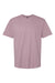 Gildan G650 Mens Softstyle Short Sleeve Crewneck T-Shirt Paragon Flat Front