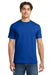 Gildan H000 Mens Hammer Short Sleeve Crewneck T-Shirt Sport Royal Blue Model Front