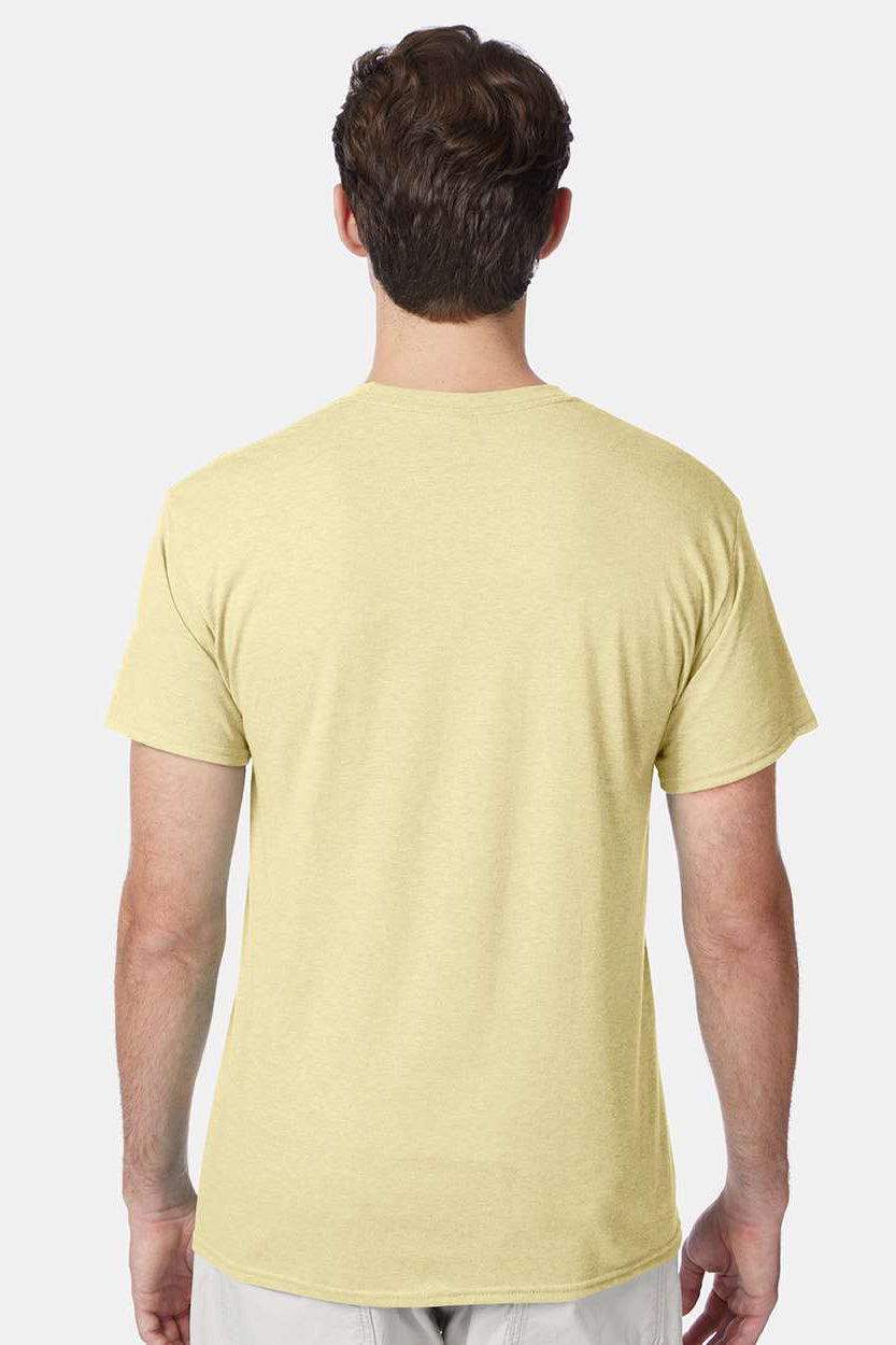 Hanes 42TB Mens X-Temp FreshIQ Moisture Wicking Short Sleeve Crewneck T-Shirt Heather Lemon Merangue Yellow Model Back