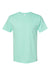 Hanes 5280 Mens ComfortSoft Short Sleeve Crewneck T-Shirt Clean Mint Blue Flat Front