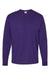 Hanes 5286 Mens ComfortSoft Long Sleeve Crewneck T-Shirt Athletic Purple Flat Front