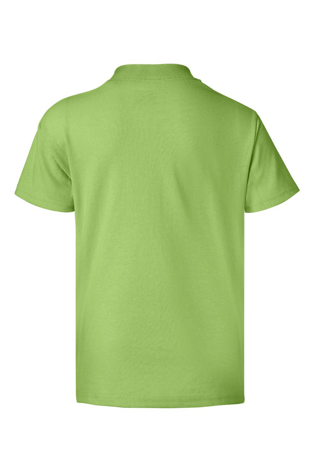 Hanes 5370 Youth EcoSmart Short Sleeve Crewneck T-Shirt Lime Green Flat Back