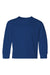 Jerzees 29BL/29BLR Youth Dri-Power Moisture Wicking Long Sleeve Crewneck T-Shirt Royal Blue Flat Front