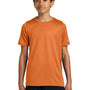 Nike Youth rLegend Dri-Fit Moisture Wicking Short Sleeve Crewneck T-Shirt - Desert Orange - NEW