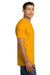 Next Level NL3600/3600 Mens Fine Jersey Short Sleeve Crewneck T-Shirt Gold Model Side